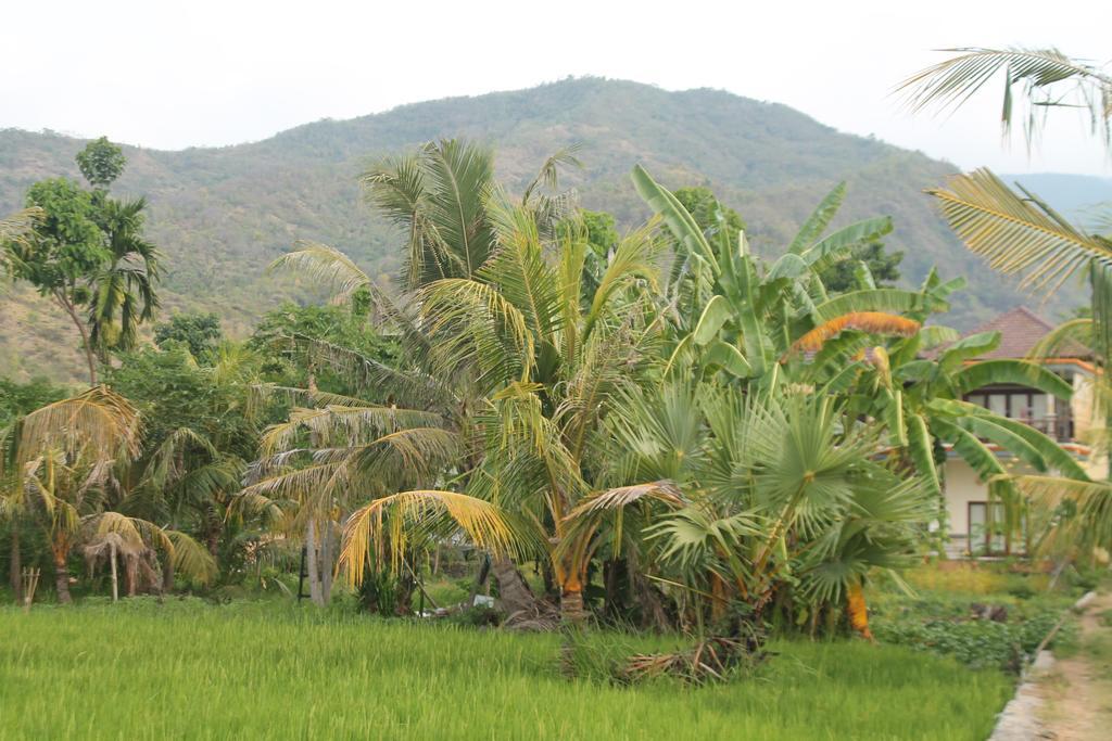 Taman Padi Villa Амед Экстерьер фото